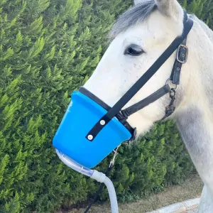 Inhalační maska Pegasalt